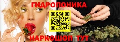 индика Коммунар