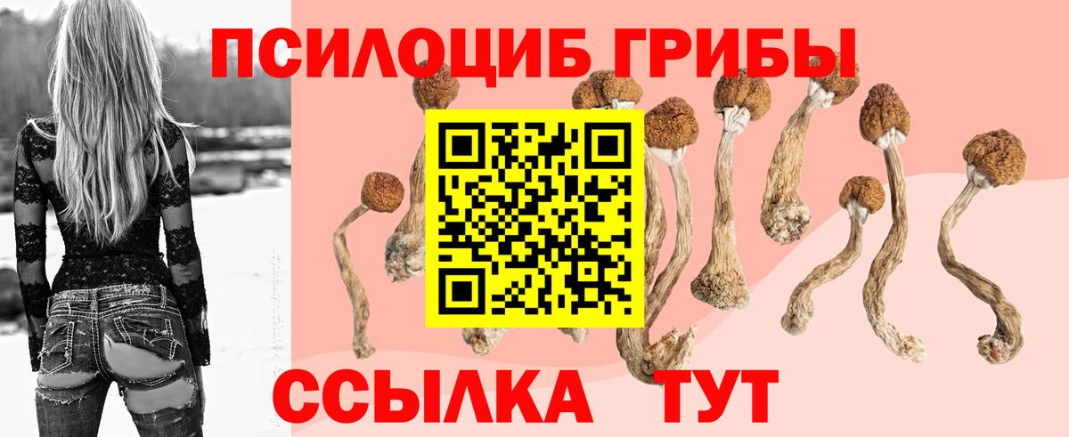 Псилоцибиновые грибы MAGIC MUSHROOMS  Галлюциногенные грибы Psilocybine cubensis  Шарыпово  Вход с VPN 